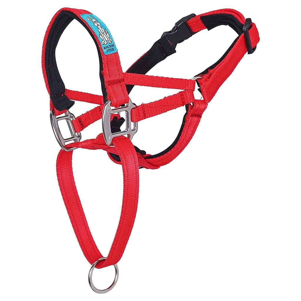 Big Dog Styles Head Collar With Chain 4 Big Dog Styles Head Collar With Chain 1