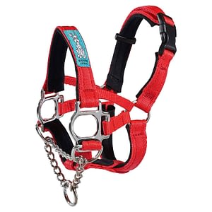 Big Dog Styles Head Collar With Chain 2 Big Dog Styles Head Collar