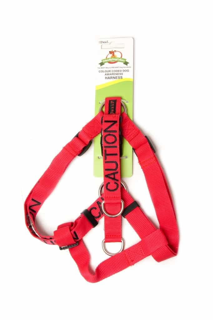 caution dog harness