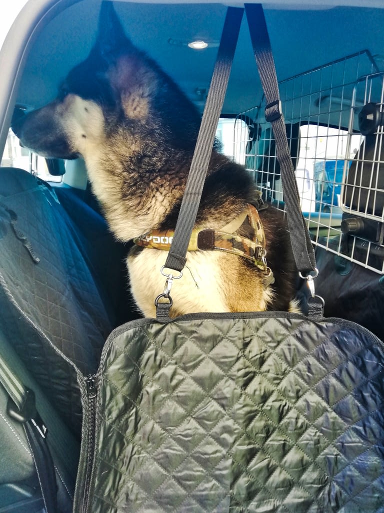 Thunderpaws Pet Car Seat Cover, Good or Bad Maybe Impressive 4 Thunderpaws Pet Car Seat Cover Review.